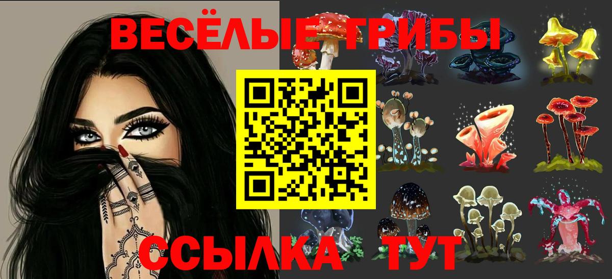 Псилоцибиновые грибы Magic Shrooms Кореновск