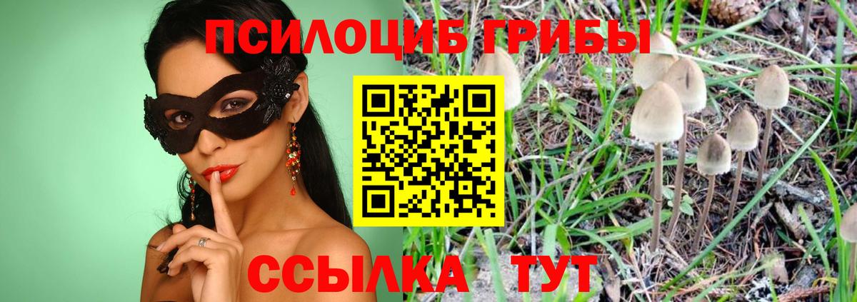 Псилоцибиновые грибы GOLDEN TEACHER  Вход с VPN  закладки  Кореновск 